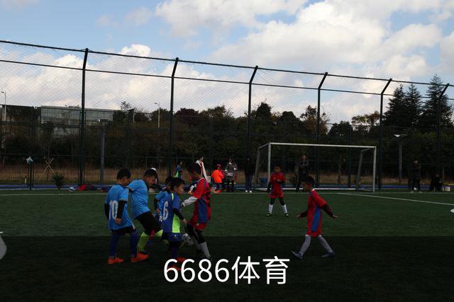 6686体育公司简介展示图